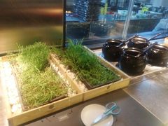 -夫妻肺片·中华老字号·正宗川菜(春熙路店)