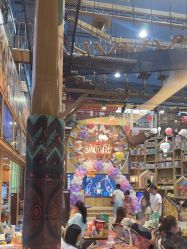 -卡通尼·Safari非洲探索乐园·生日会(金桥国际商业广场店)