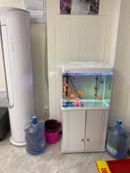 -缪斯造型Muse style