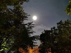 -萬國春·中菜馆(颐和公馆店)