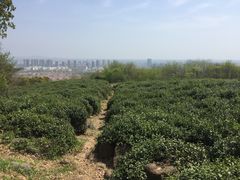 -南京市江宁方山