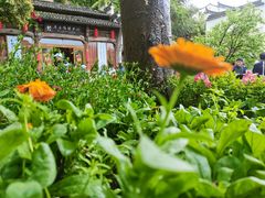 -篁岭景区
