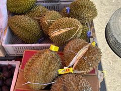 -何庄子阿米玛玛农产品批发市场