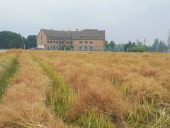 -中国天府农业博览园