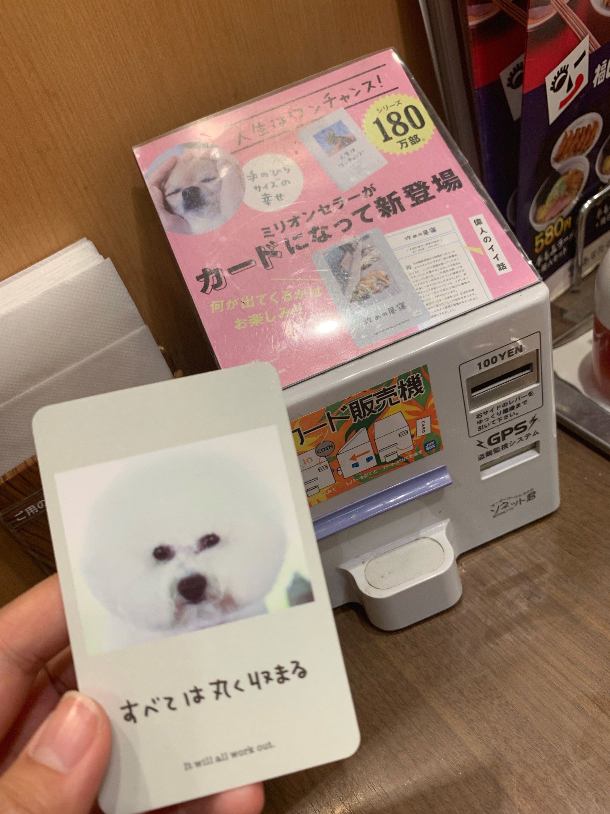 狗头卡片儿