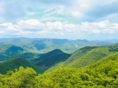 -莫干山风景区