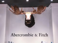 -Abercrombie&Fitch(德基广场店)