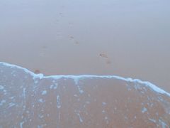 -东海岛旅游度假区