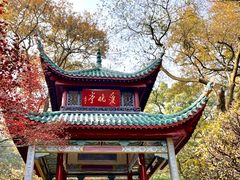 -岳麓山风景名胜区