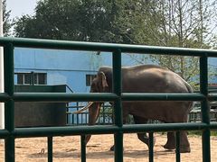 -秦皇岛野生动物园