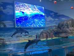 -福州罗源湾海洋世界旅游区