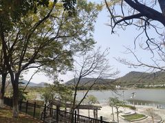 -风云岭森林公园