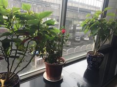 -喜相逢·特色烤鸭新疆菜(南珏大厦店)