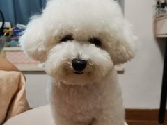 -宠颐生宠物医院外科·内科·皮肤科·影像科(石龙店)
