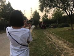 -永定河休闲森林公园