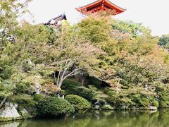 -有栖山 清光院 清水寺