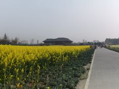 -中国天府农业博览园