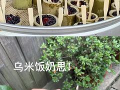 -乌镇景区
