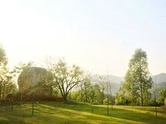 picture-中旅阿那亚九龙湖·公主酒店