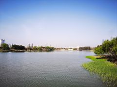 -澹台湖公园