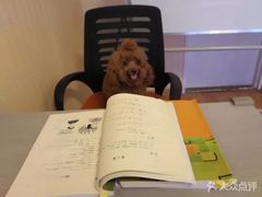 -猫音日语留学培训