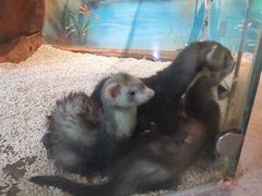 -昆明大悦城未来动物城(螺蛳湾中心店)