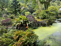 -ステーキハウス吉池