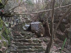 -四明山国家森林公园