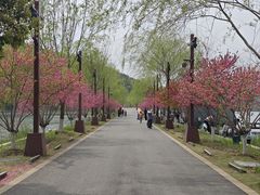 -南北湖风景区
