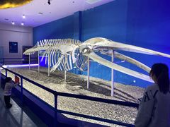 -福州罗源湾海洋世界旅游区