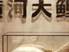 -阿五黄河大鲤鱼(纬三路店)