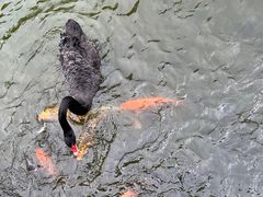 -海南热带野生动植物园