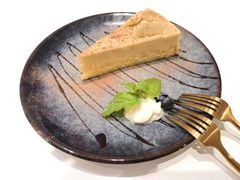 -飞行喵MR PILOT|猫舍·猫咖(静安大融城店)
