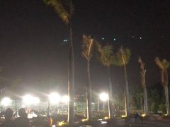 -金鸡岭桥头公园