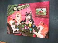 -柴犬高等学院·狗咖·柴犬售卖·宠物训练