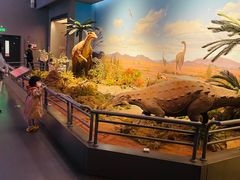 -贝林大翅鲸简餐厅(国家海洋博物馆店)