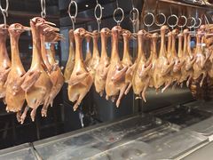 -三强鸽子(中原路店)