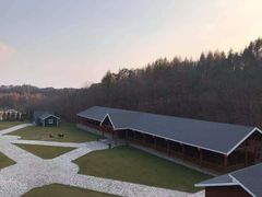 -云岭野山参风景区