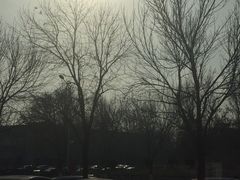 -maan coffee漫咖啡(通州店)