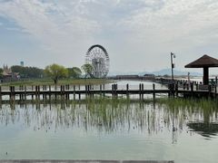-苏州太湖湖滨国家湿地公园