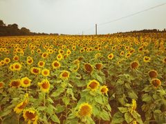 -农垦当壁镇兴凯湖旅游度假区