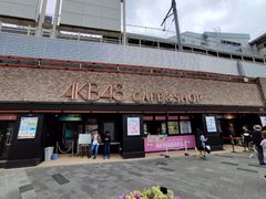 -秋叶原电器街