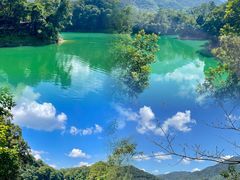 -广州市流溪河国家森林公园