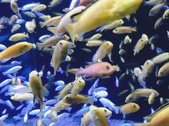 -成都浩海立方海洋公园