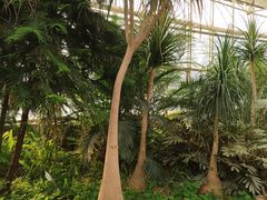 -石家庄市植物园