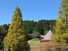 -神户市立六甲山牧场
