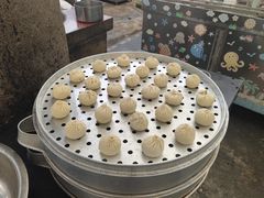 -洪湖家庭农场·团建·露营·会议