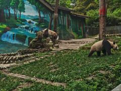 -中国大熊猫保护研究中心雅安碧峰峡基地