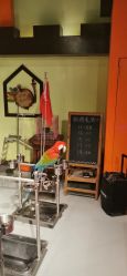 -未来动物城动物主题公园(大悦城店)
