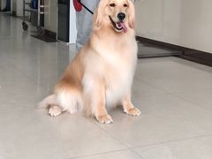 -康旭宠物医院(郑州总院)